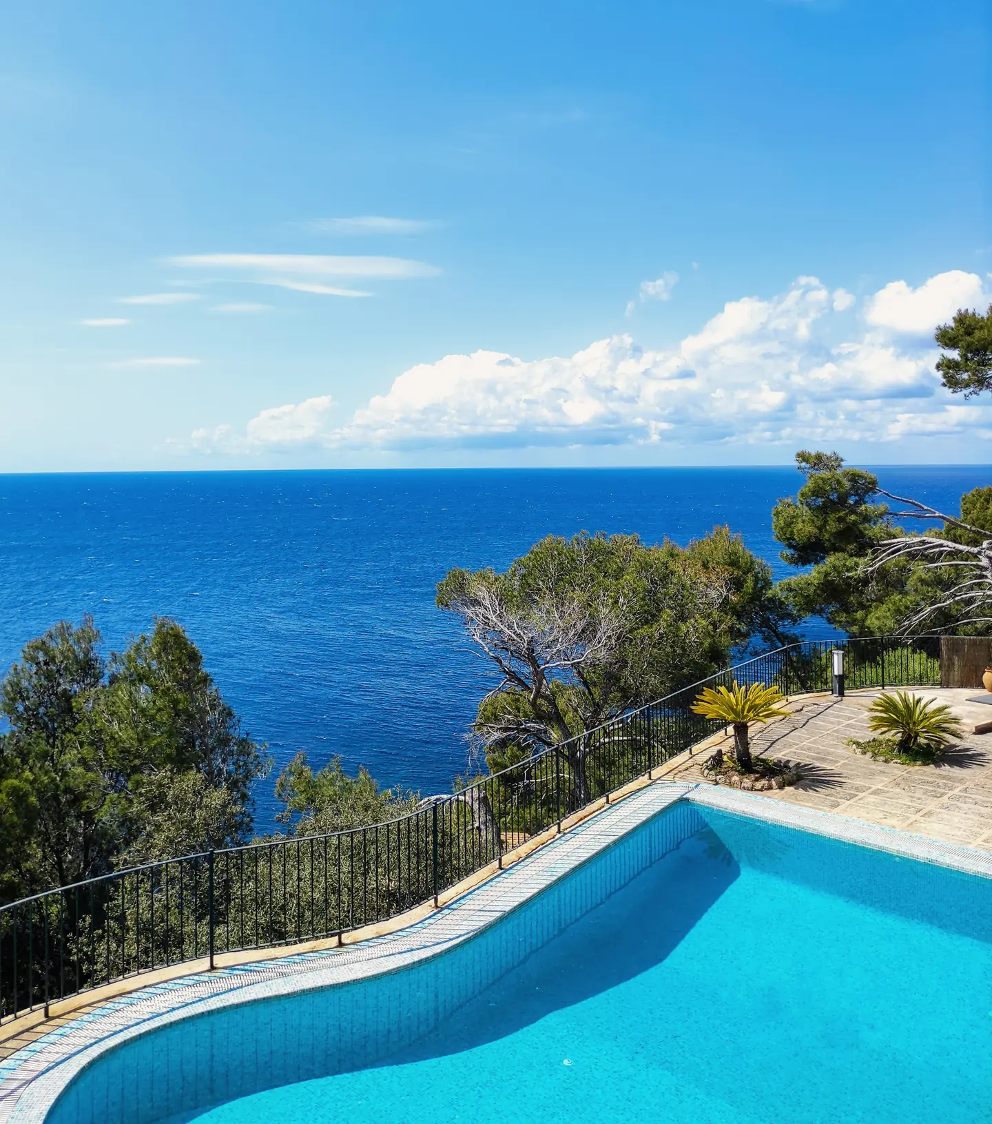 A pool above pine-covered cliffs and the open sea